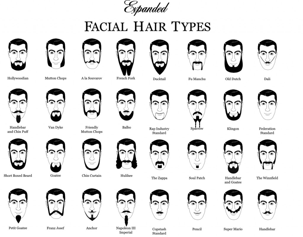 beard-chart-graphic-design-7