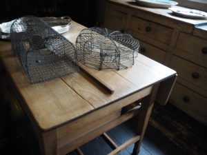 Ightham Mote kitchen mouse traps