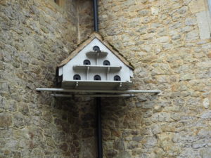 Ightham Mote Roost