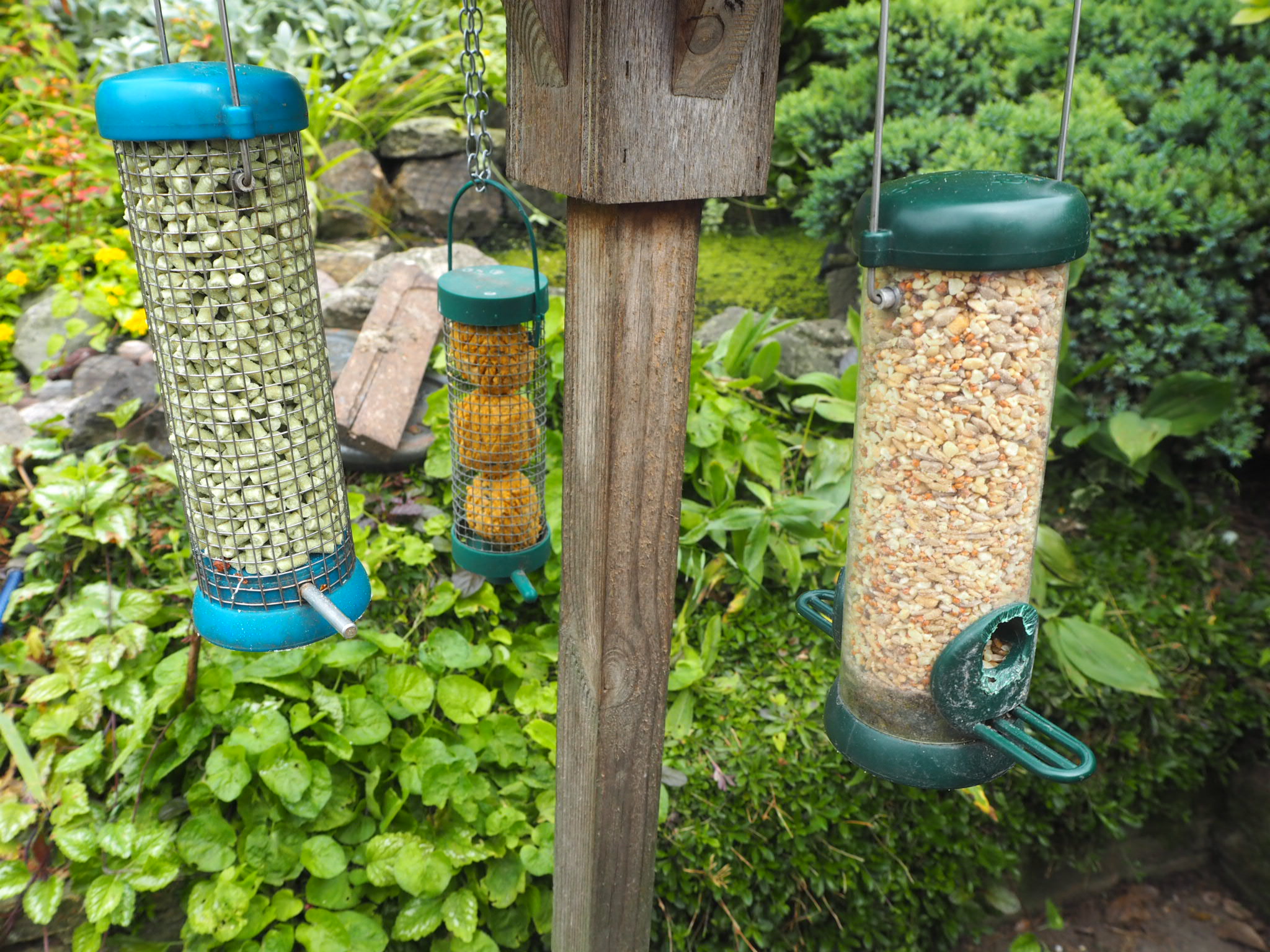 Ivel Valley Wild Bird Food in Feeders