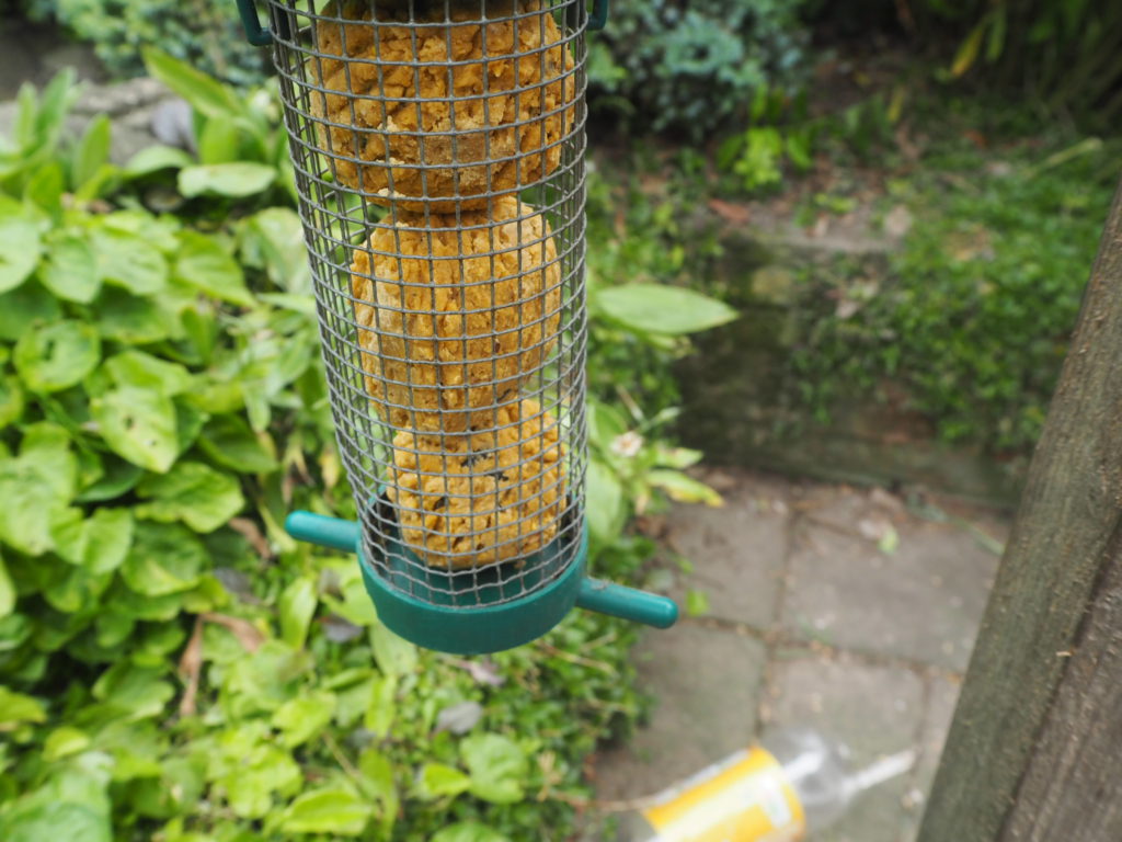 Ivel Valley Wild Bird Food suet balls