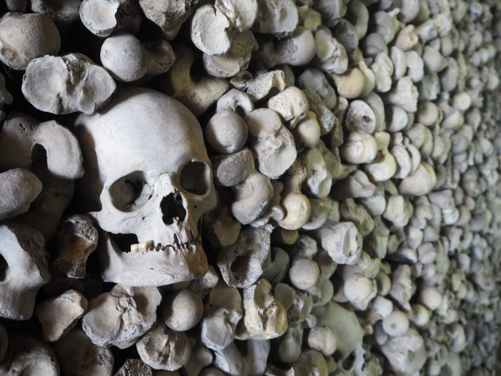 Femurs and skull at St Leonard's Church Crypt