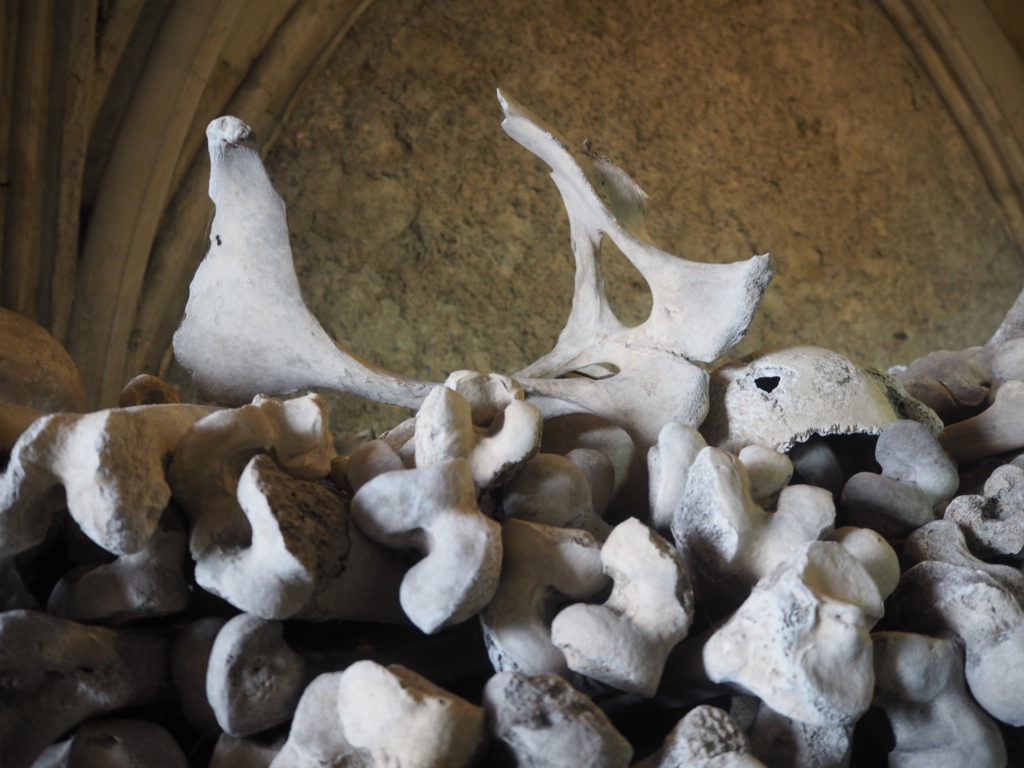 Pelvis at St Leonard's Church Ossuary