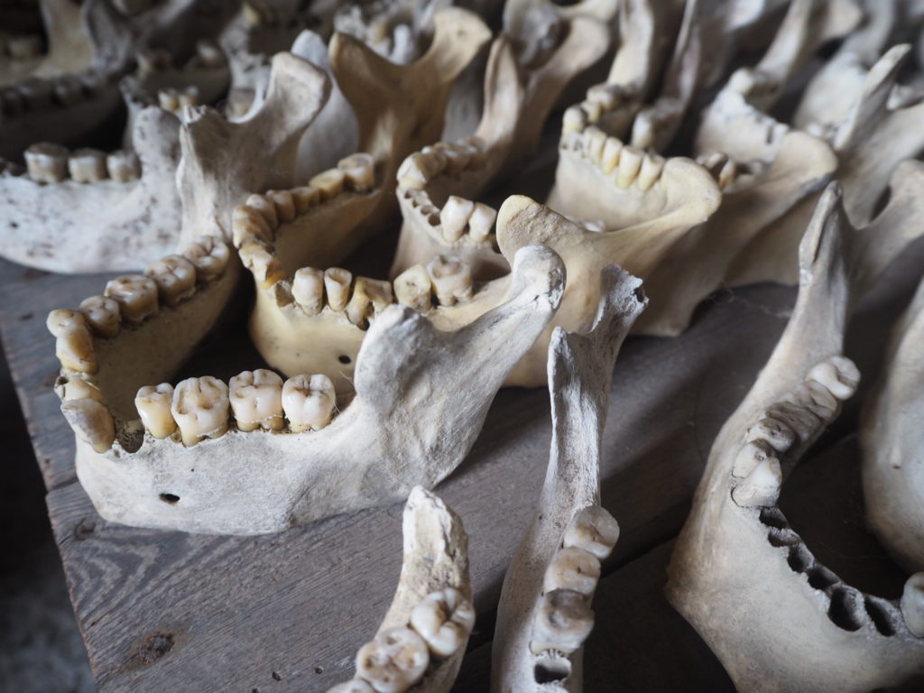 Jaws at St Leonard's Church Ossuary