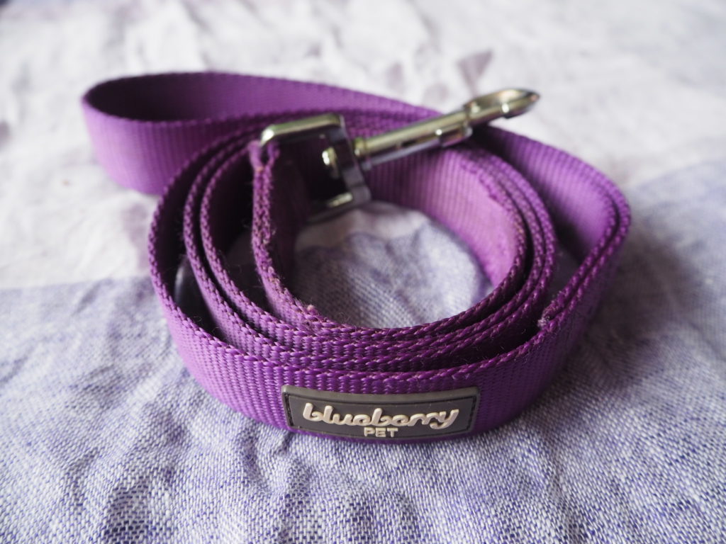 Blueberry dark orchid dog lead