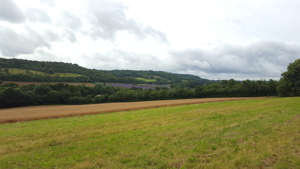 Views at Lullingstone Country Park Kent