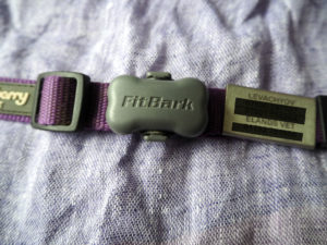 FitBark Activity Monitor