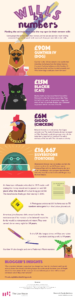 Richest Pets Infographic