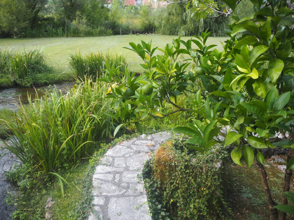Garden Path at Ćatovića Mlini