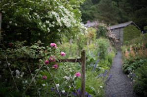 country garden path