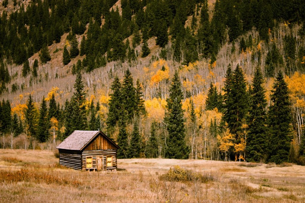 living off-grid cabin