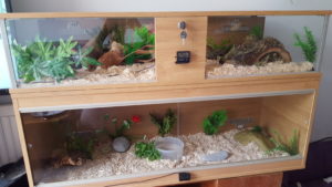 Repti-View Maxi vivarium