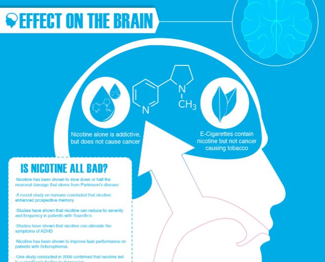 Infographic: The Truth About Nicotine – Stylish London Living