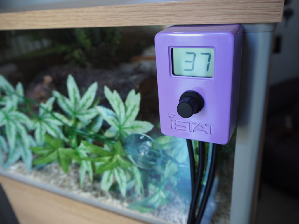 Review: iSTAT Compact reptile thermostat purple