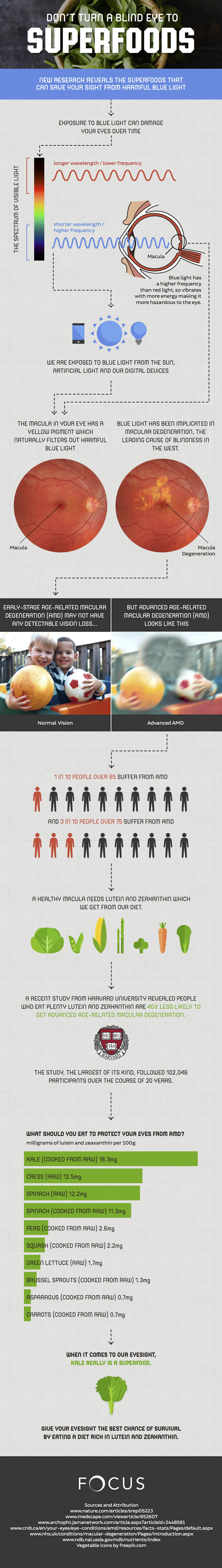 focus-superfoods-infographic