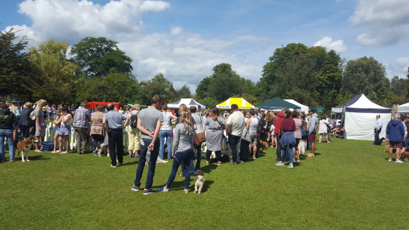 Castle Canines Hever Stalls