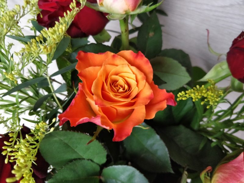 Freddie's Flowers Bouquet Rose
