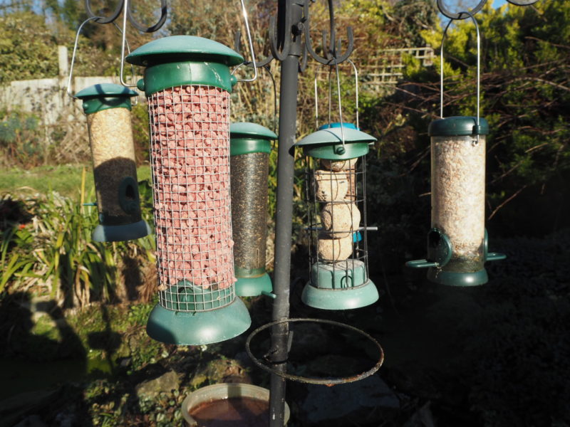 Ivel Valley BritBits Bird Food